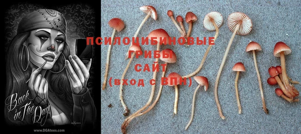 марки nbome Алзамай