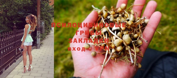 прущий лед Алексин