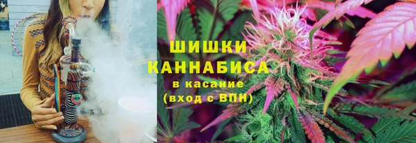 mdpv Горно-Алтайск