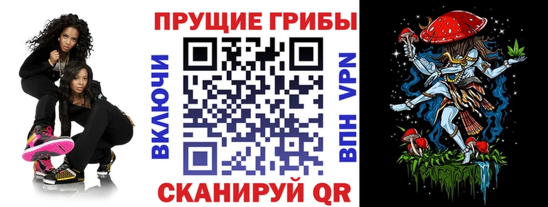 Псилоцибиновые грибы прущие грибы  Сосновка 