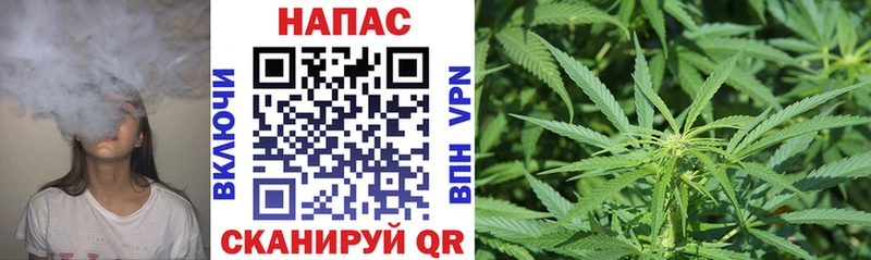 хочу наркоту  Сосновка  Бошки марихуана Bruce Banner 